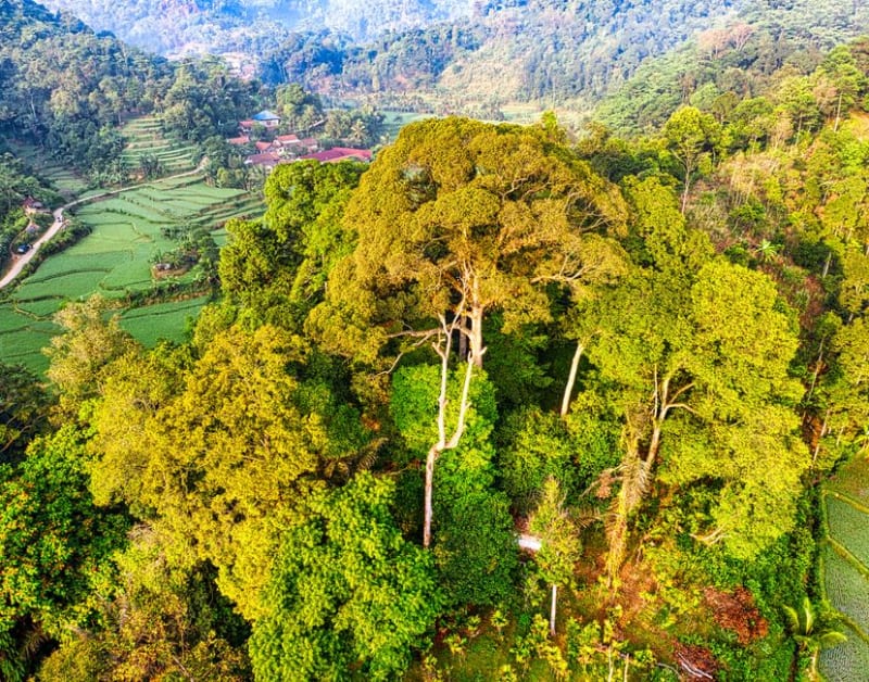 Ujung Kulon National Park