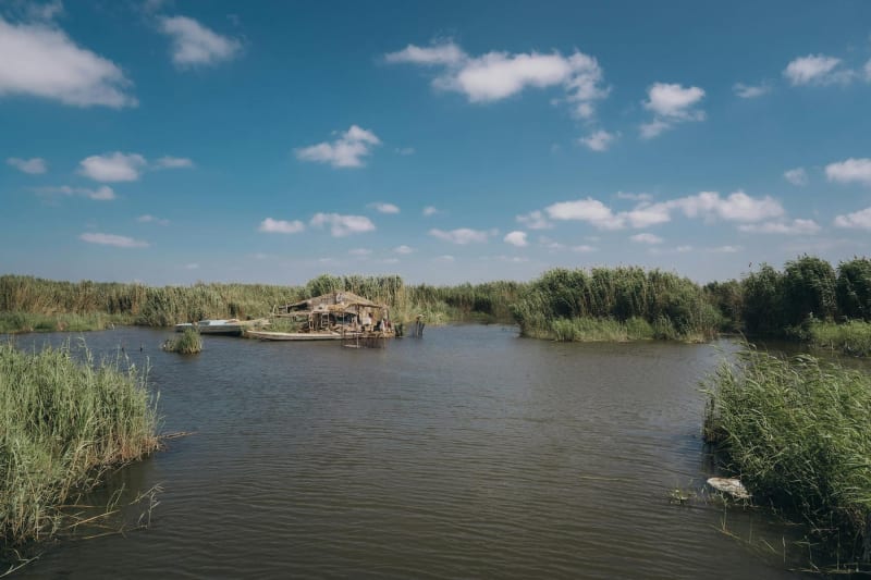 Azraq Wetlands