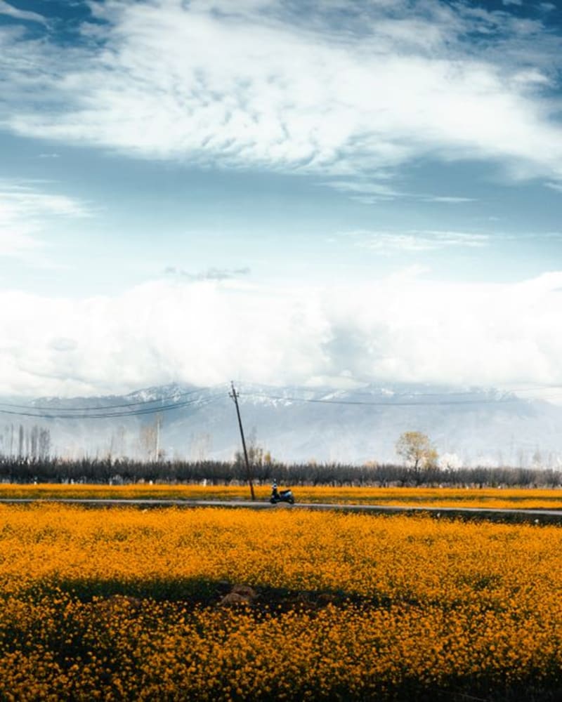 Baramulla