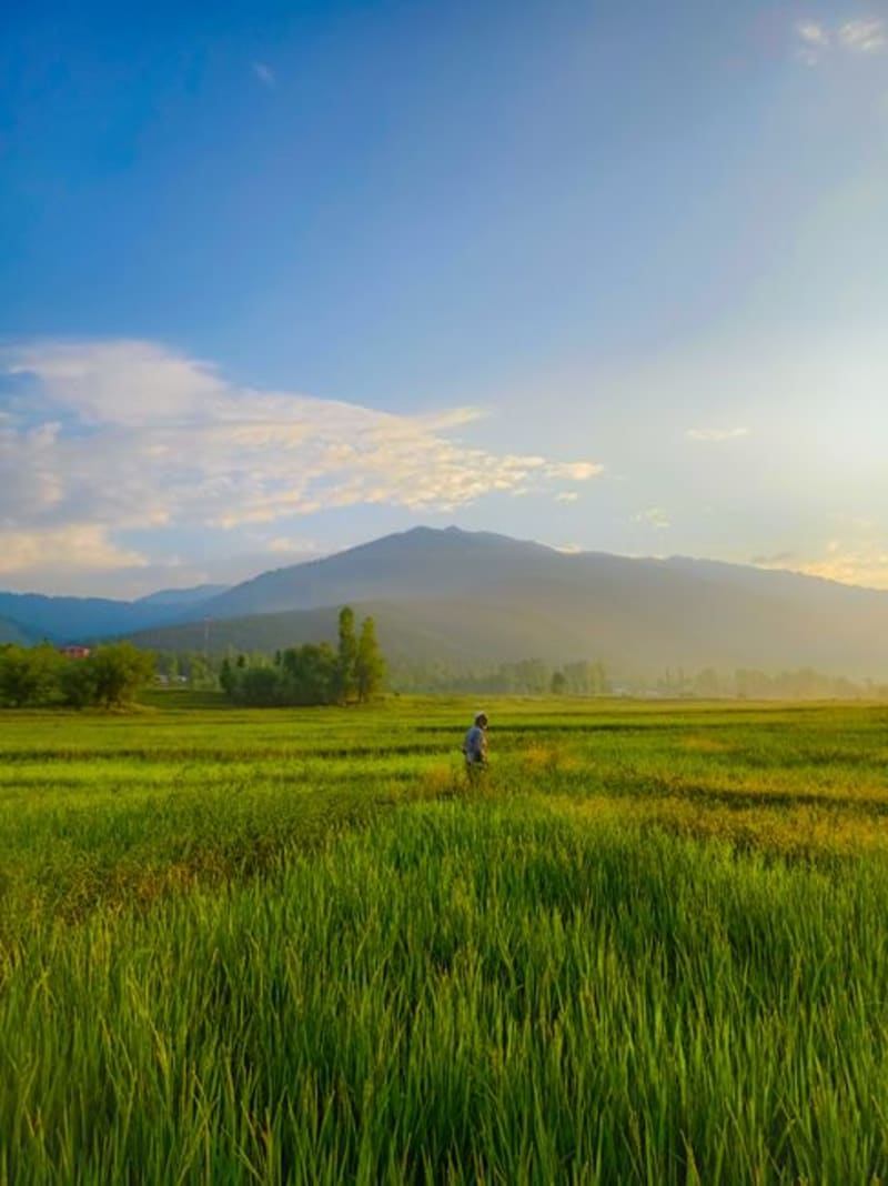 Lolab Valley