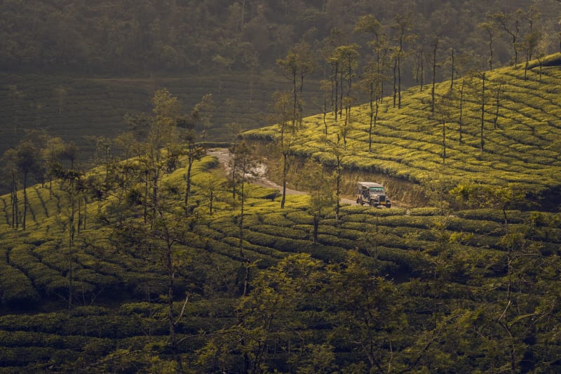 Thekkady
