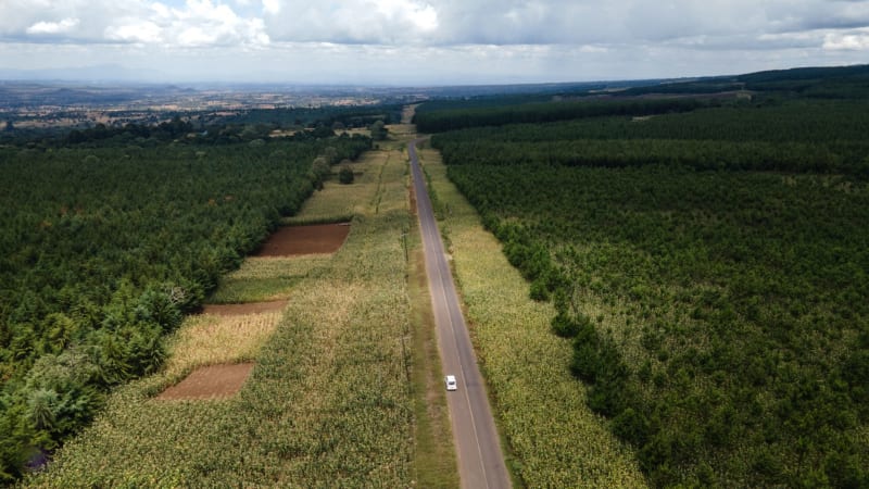 Meseta de Shira