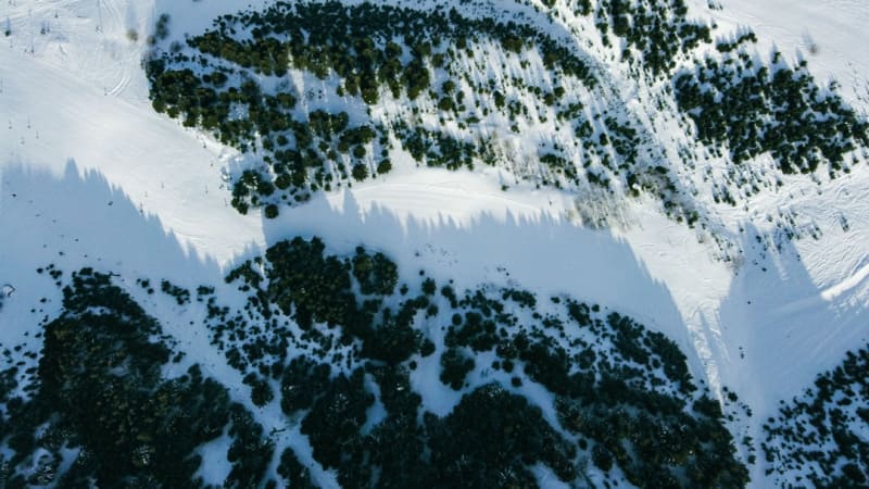 Brezovica