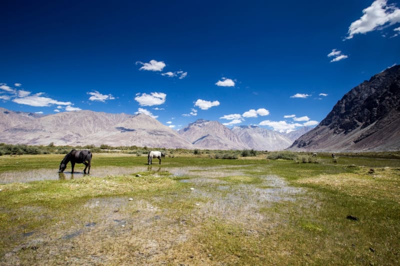 Valle de Nubra