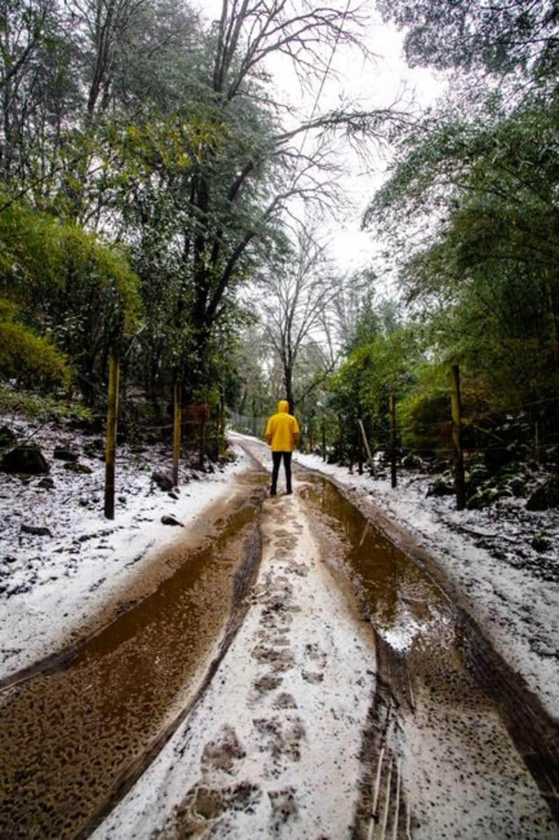 Termas de Puyehue