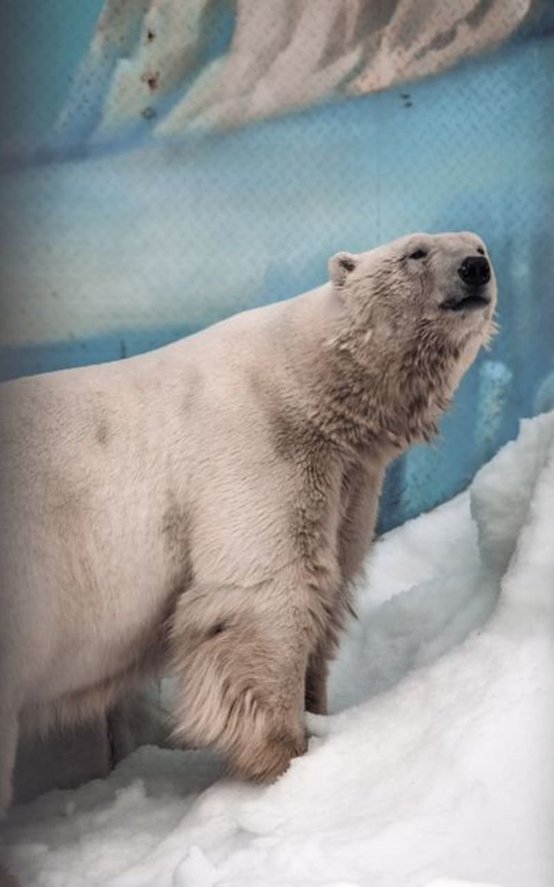Ranua Wildlife Park