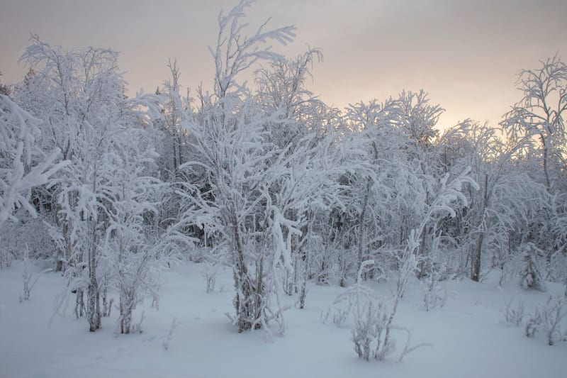 Saariselkä