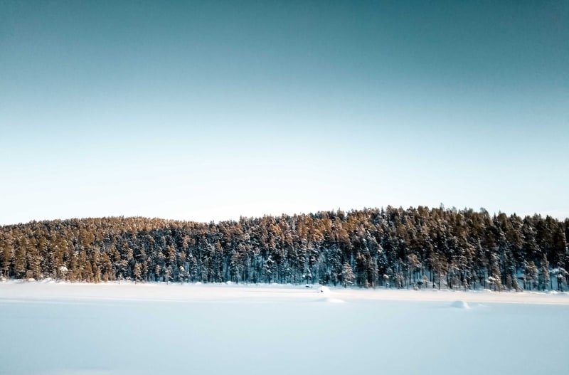 Ylläs