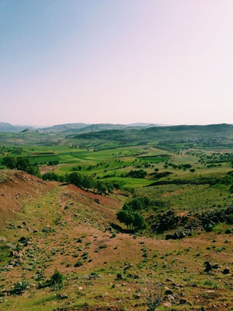 Faraya