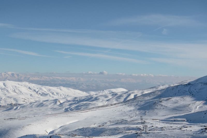 Faraya