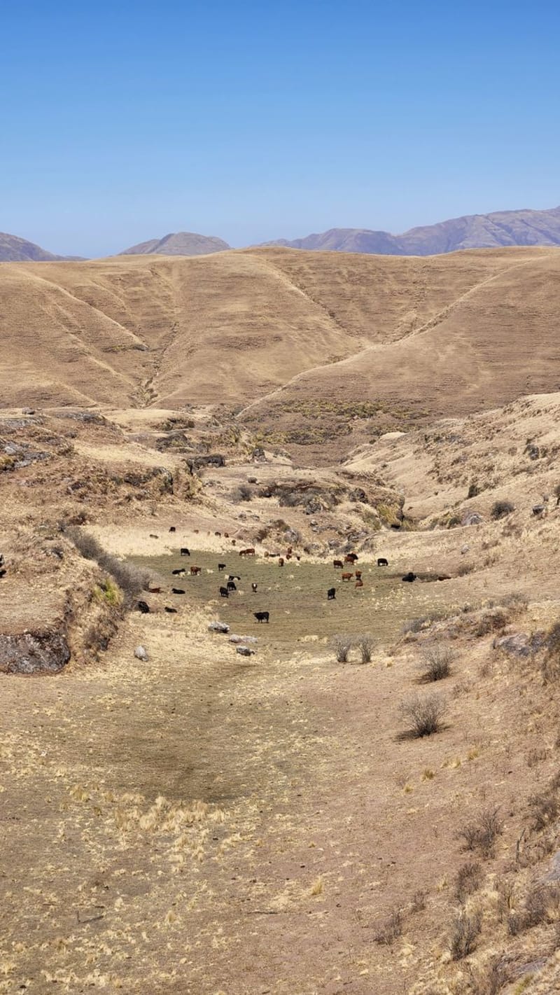 Bokong Nature Reserve