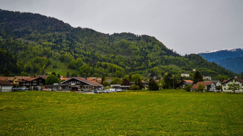 Schellenberg