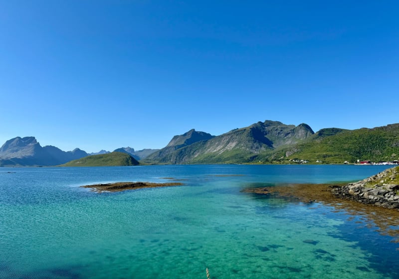 Reine