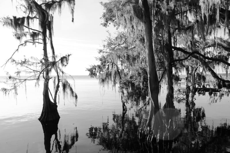 Bayou Teche