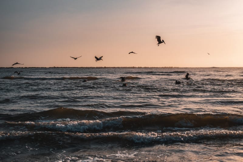 Grand Isle