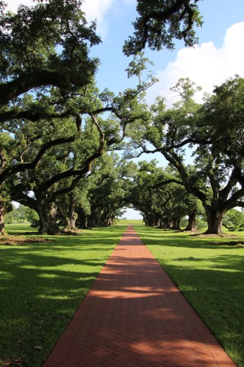 Oak Alley Plantation