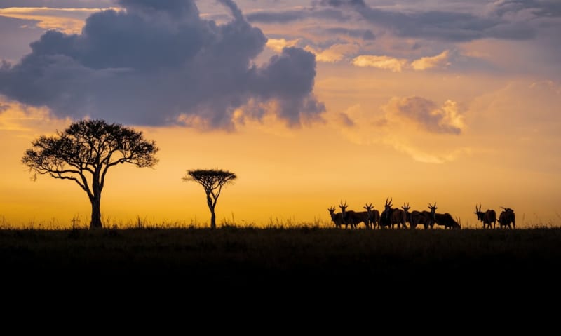 Siana Conservancy