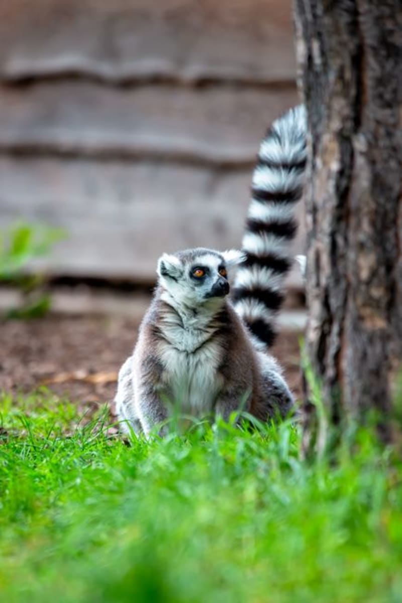 Anja Community Reserve
