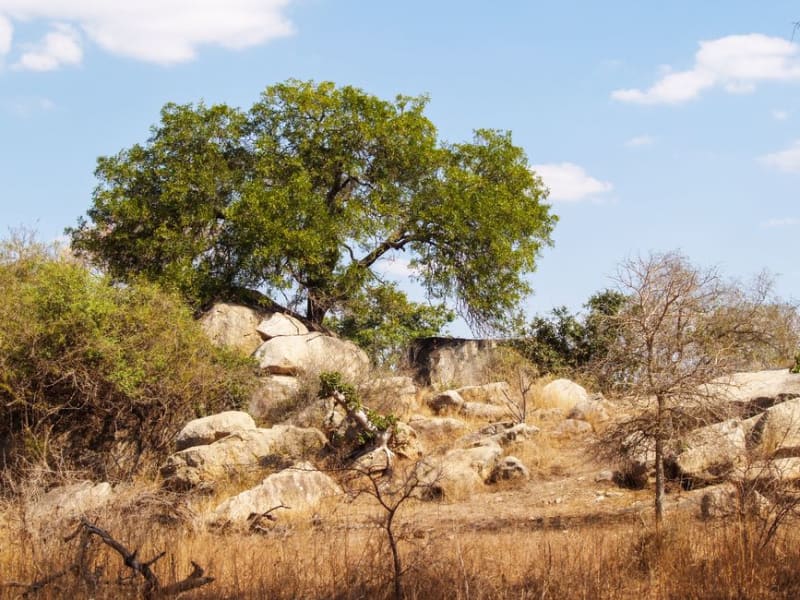 Anja Community Reserve