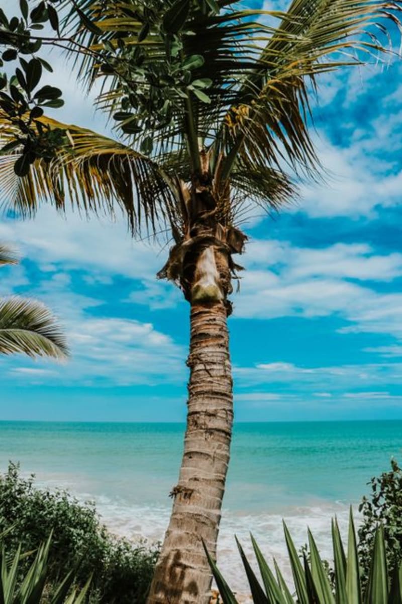 Ile aux Nattes