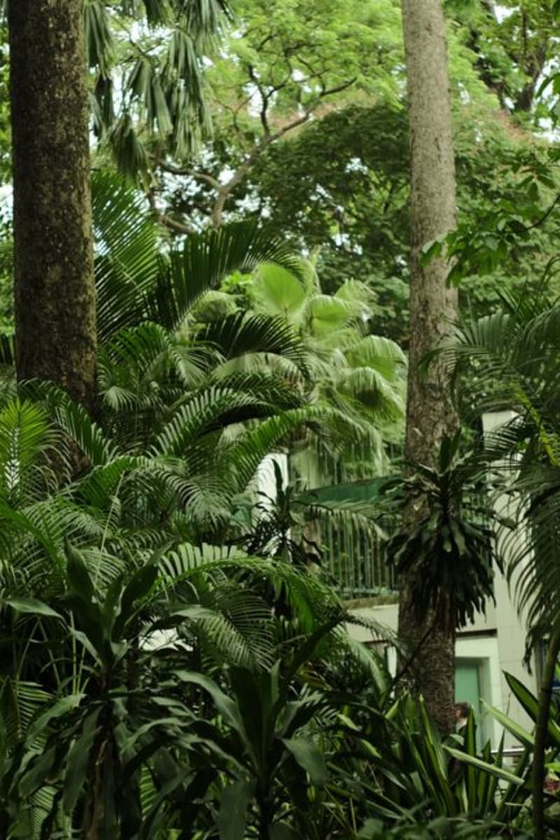 Mantadia National Park