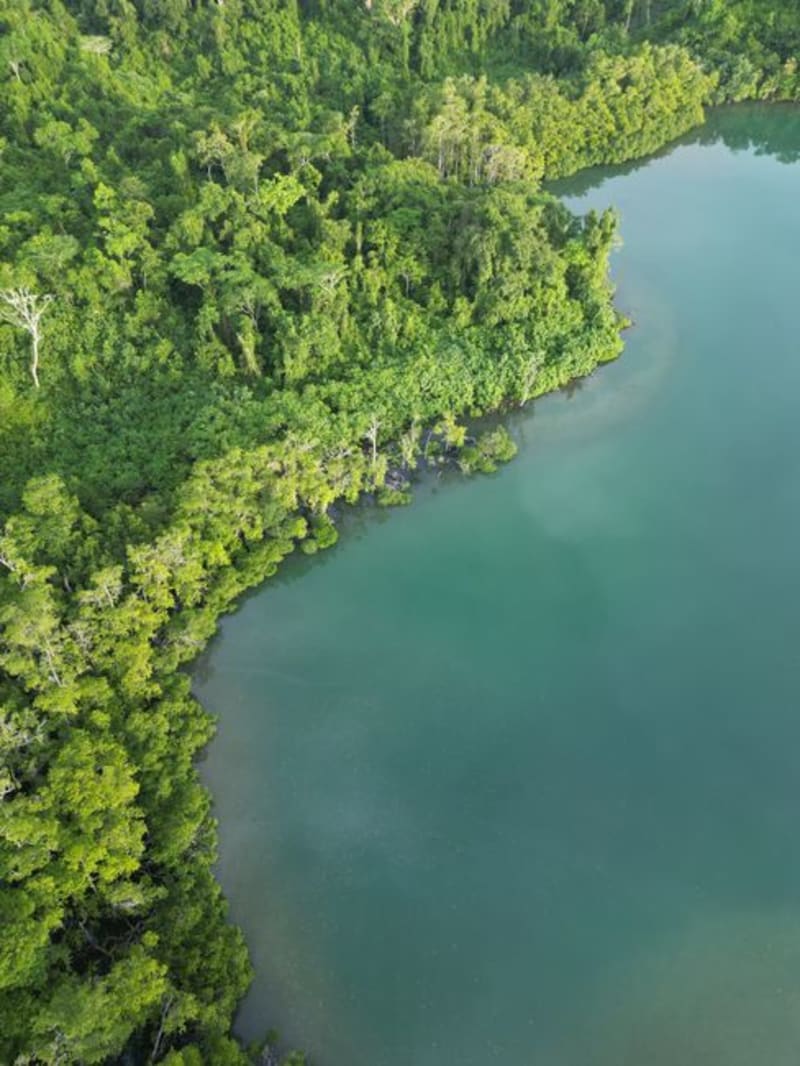 Masoala National Park