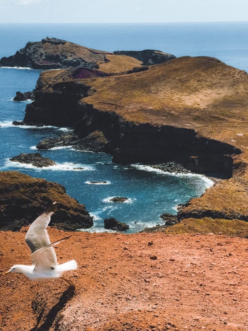 Ponta de São Lourenço