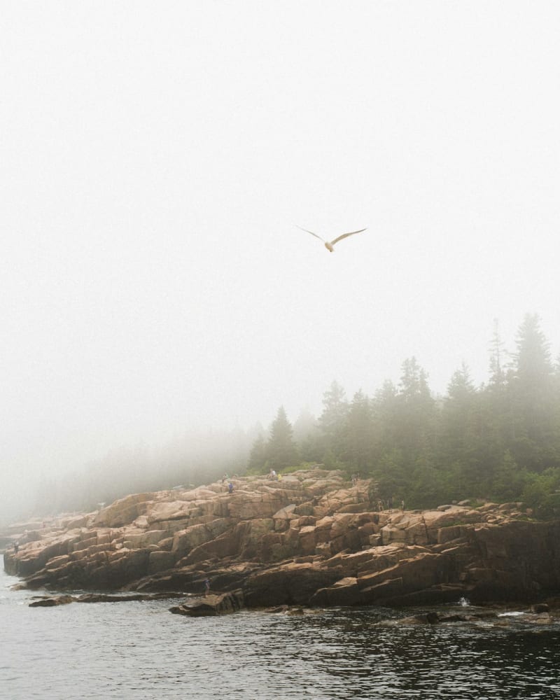 Moosehead Lake