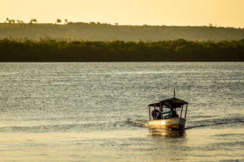 Santa Cruz do Arari