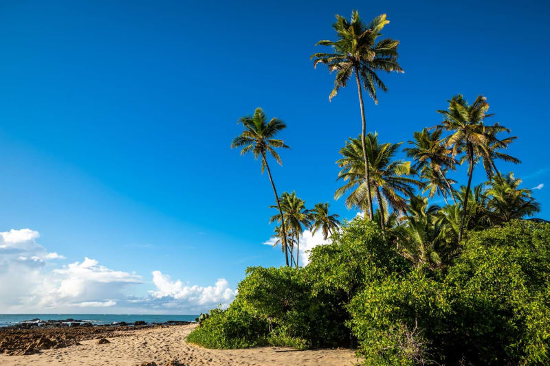 Les Salines Beach