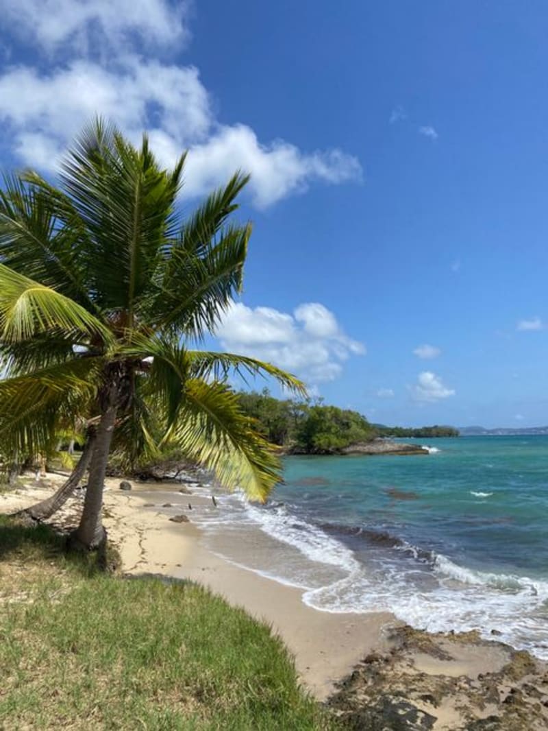 Sainte-Anne