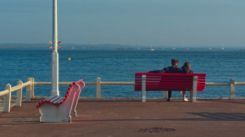 Banc d'Arguin