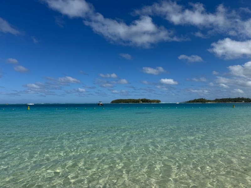 Île aux Aigrettes