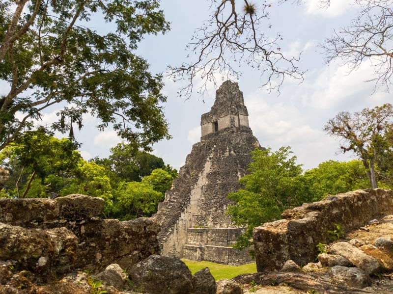 Cobá