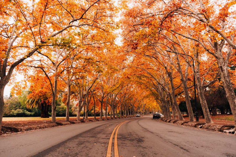 Mendoza City