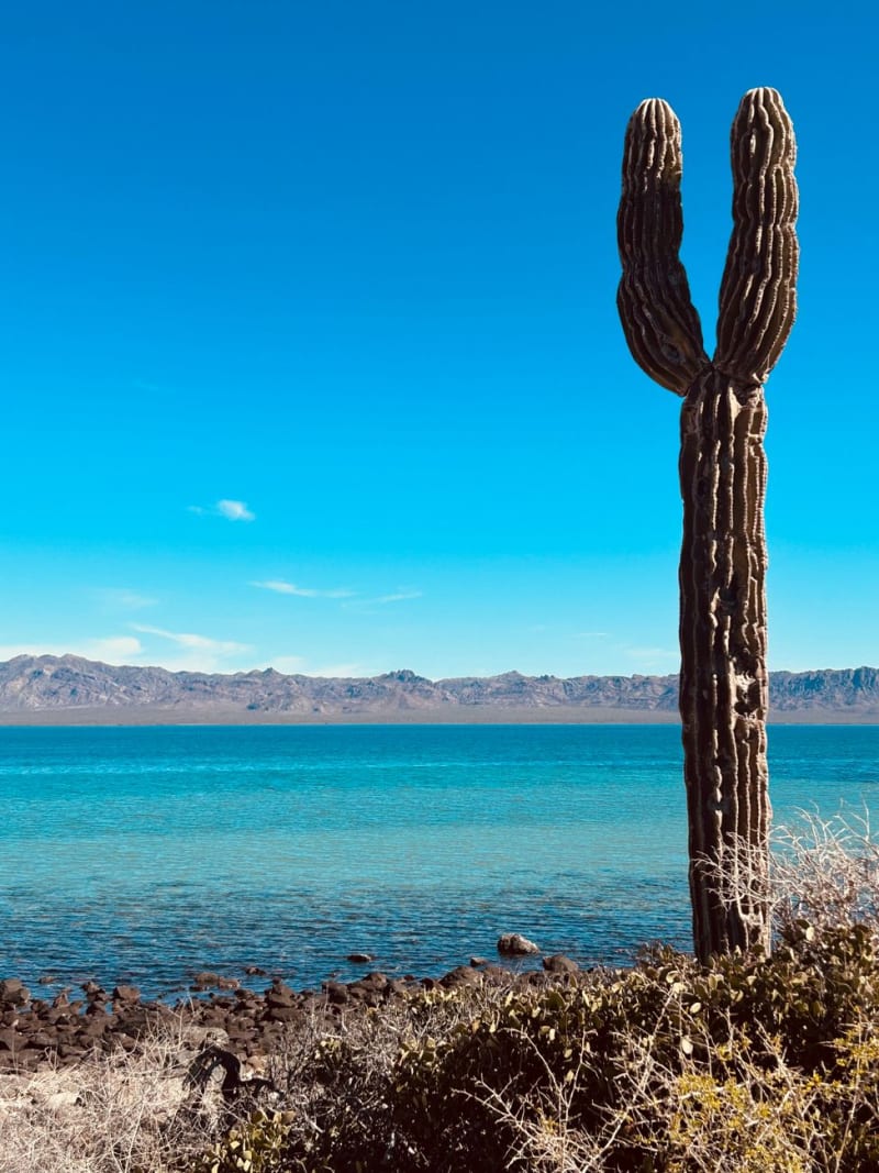 Bahía de Kino