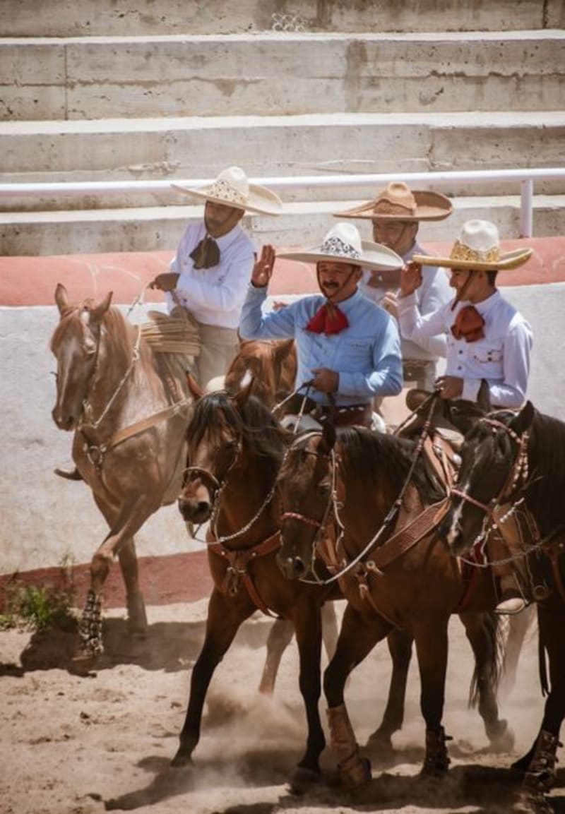 Bolaños