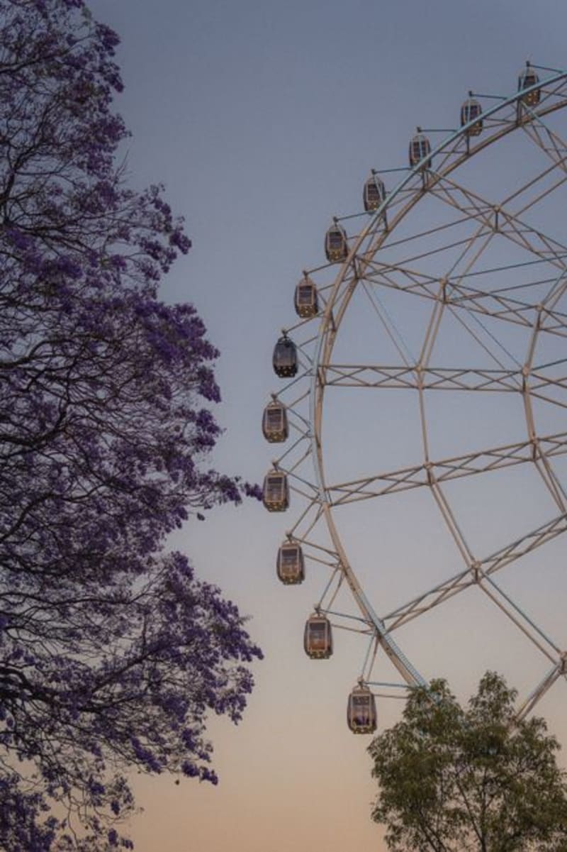Condesa