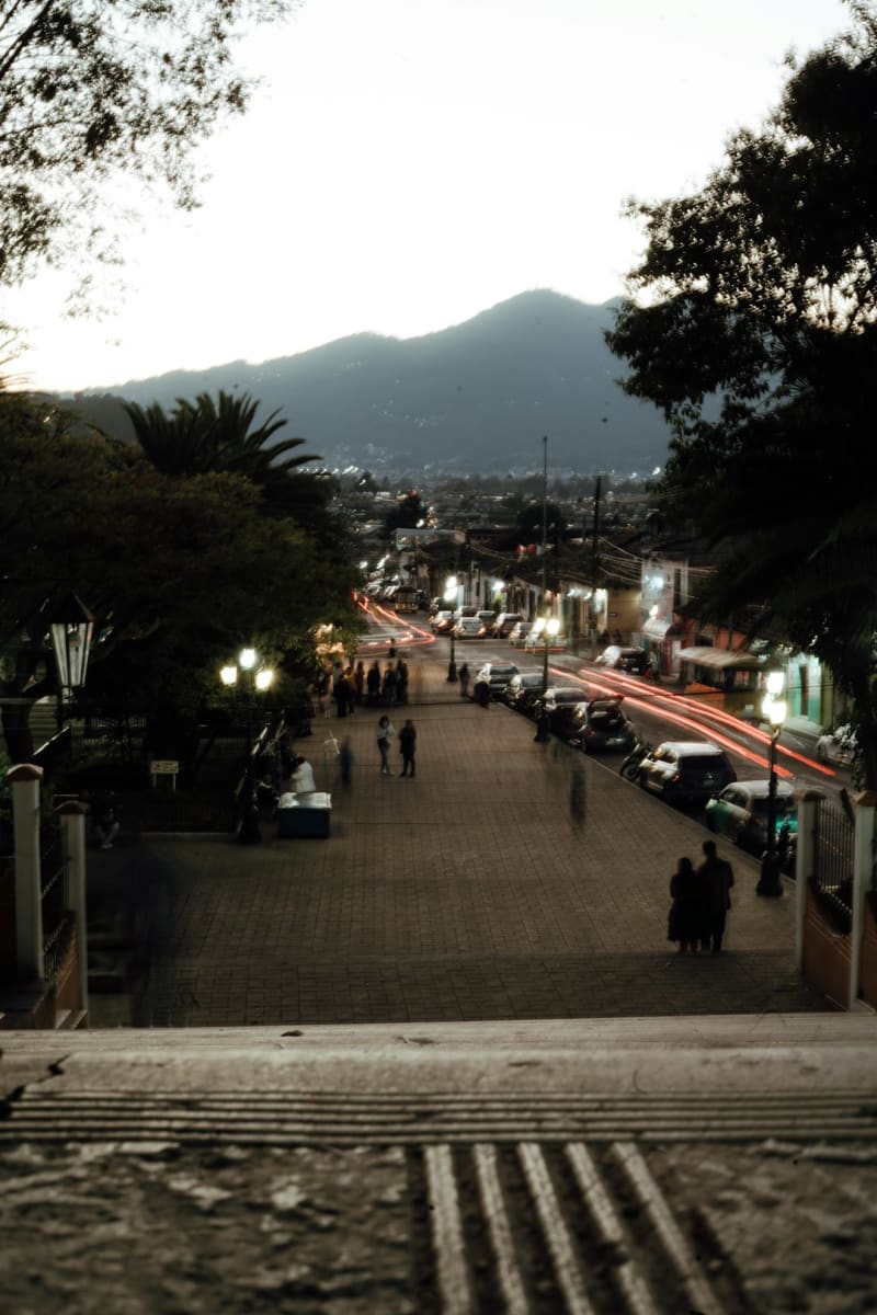El Tuito