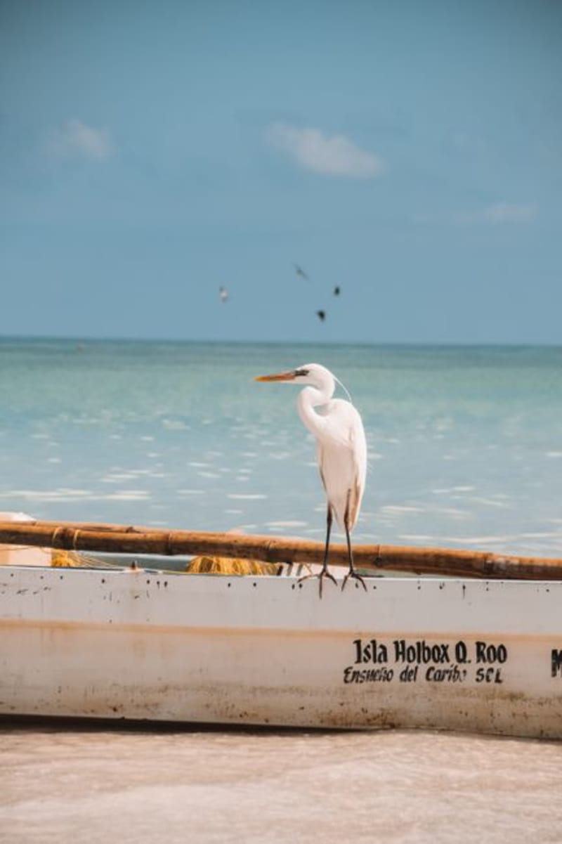 Isla Contoy