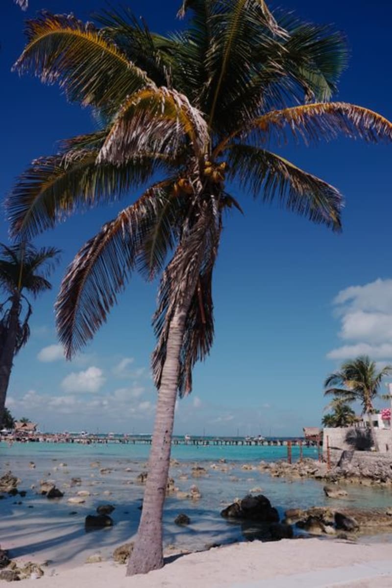 Majahual Coast