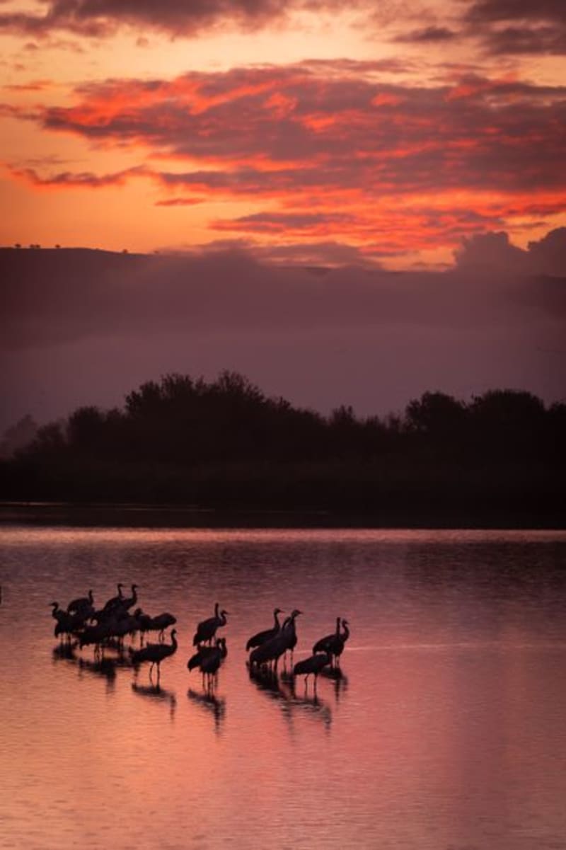 Nativitas Wetlands