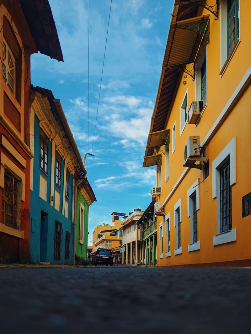 Palizada