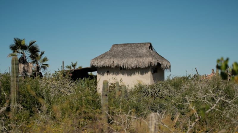 Paquimé