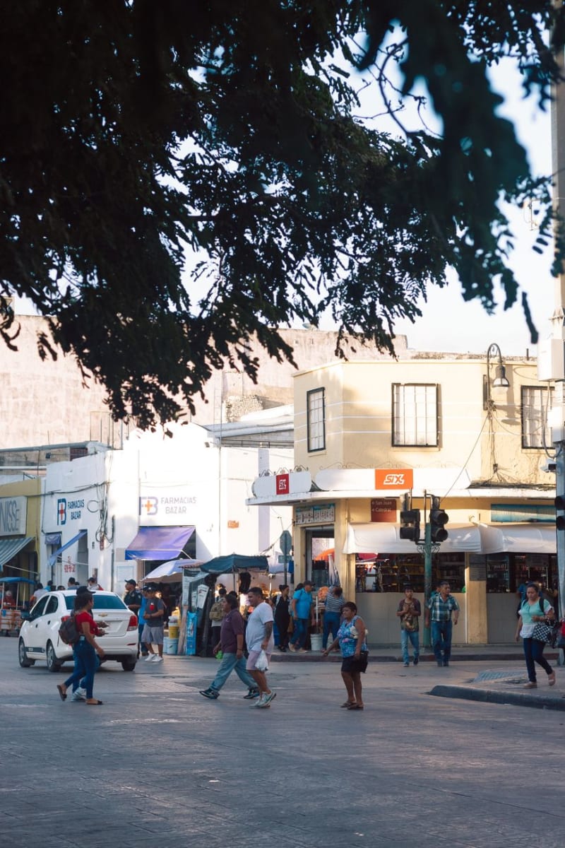 Saltillo