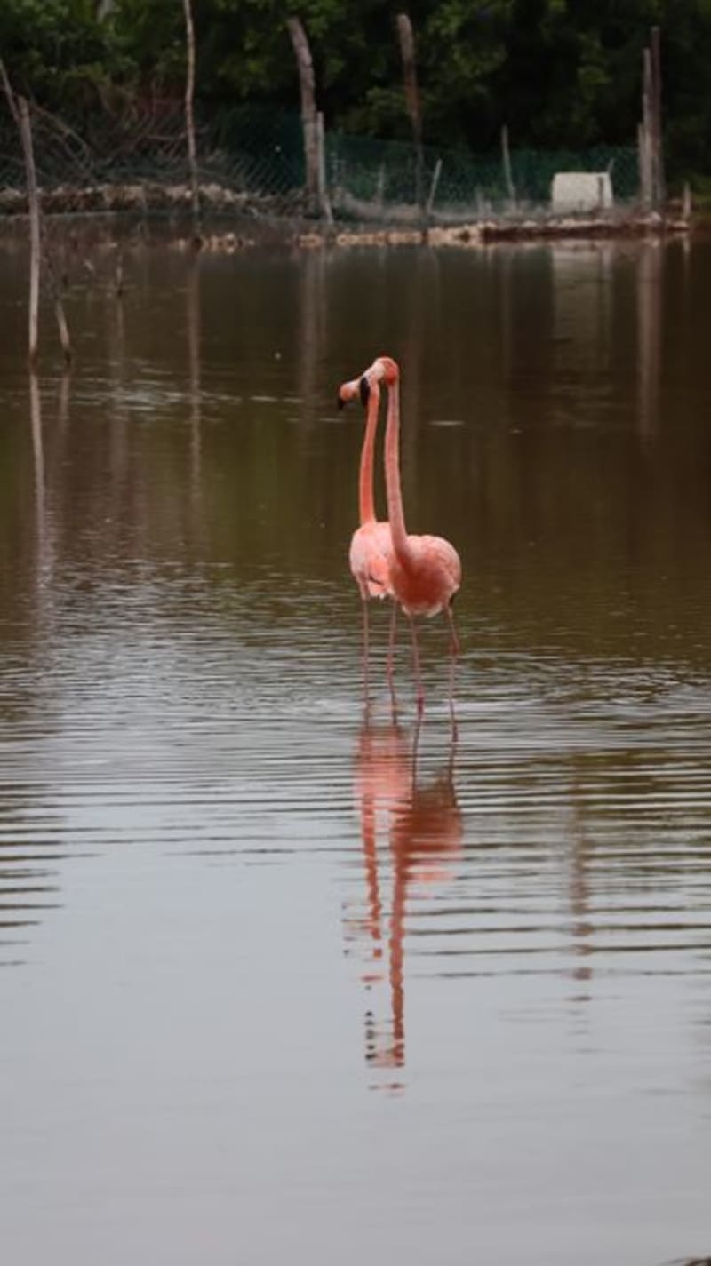 San Blas