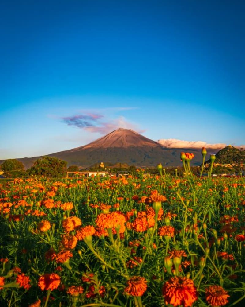 Tetela del Volcán