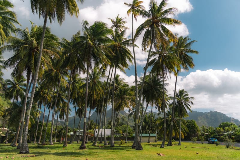 Kosrae