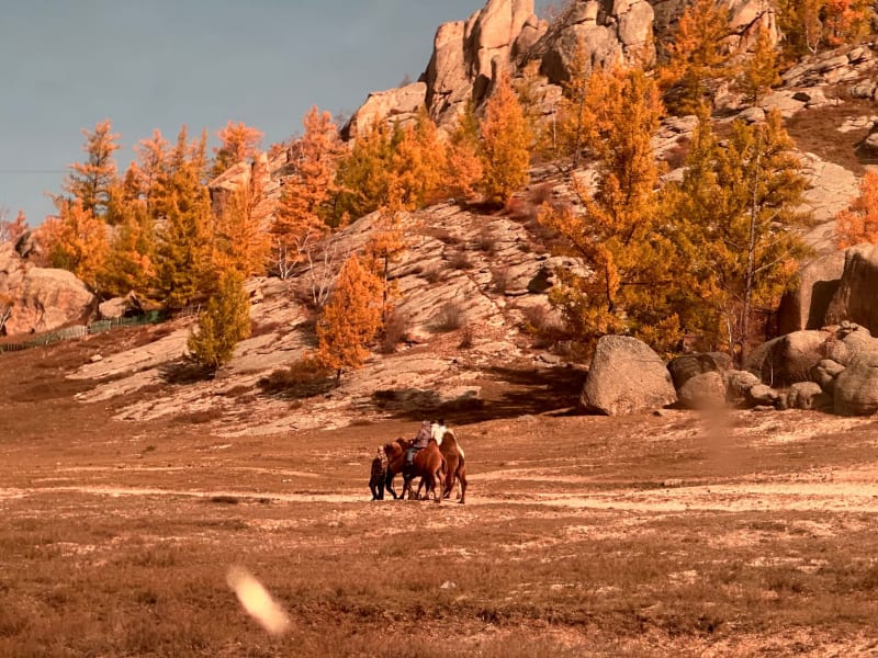 Parque Nacional Khustai