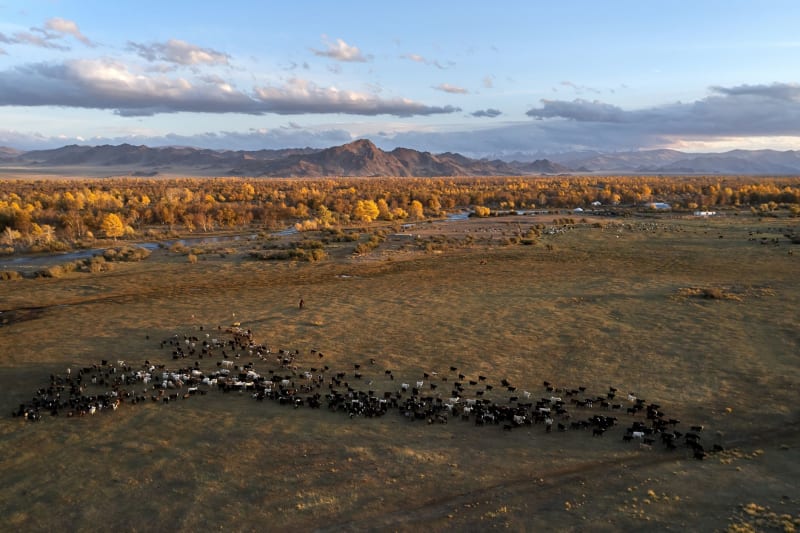 Parc national Gorkhi-Terelj
